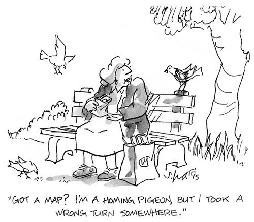 'Got a map? I'm a homing pigeon, but I took a wrong turn somewhere.'