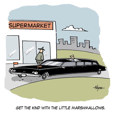 'Get the kind with the little marshmallows.'
