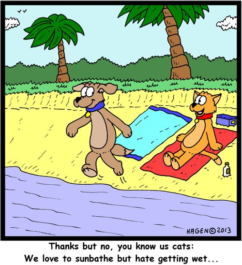 'Thanks but no, you know us cats: We love to sunbathe but hate getting wet...'