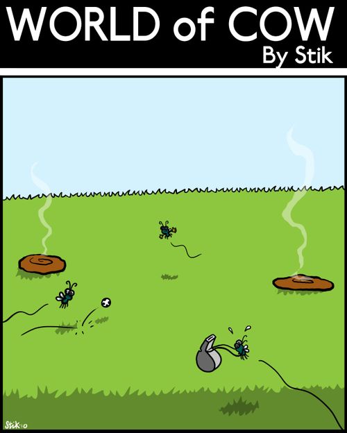 Fly Football