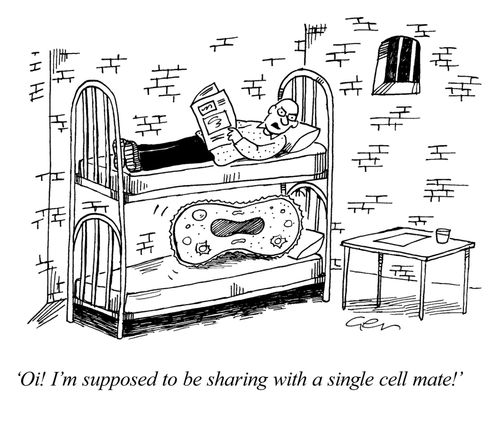 'Oi! I'm supposed to be sharing with a single cell mate!"
