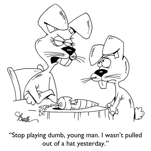 "Stop playing dumb, young man. I wasn't pulled out of a hat yesterday."