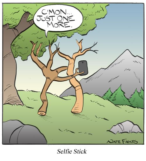 Selfie Stick