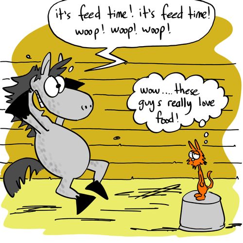 'It's feed time! It's feed time! Woop! Woop! Woop!'