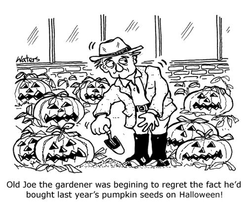 Old Joe the gardener was begining to regret the fact he'd bought last year's pumpkin seeds on Halloween!