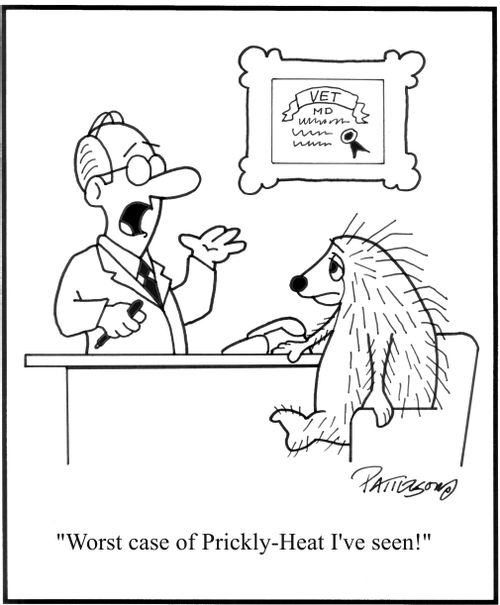 'Worst case of Prickly-Heat I've ever seen!' 
