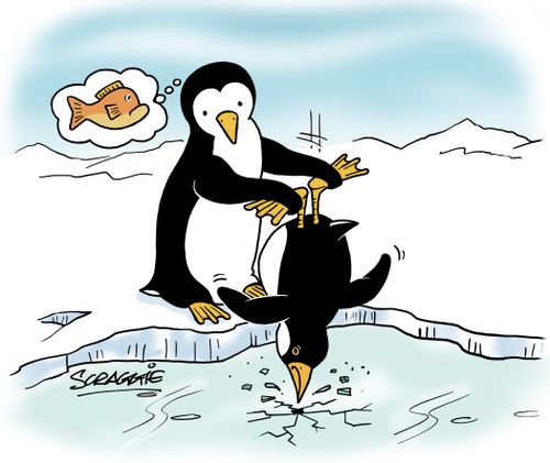penguin fishing