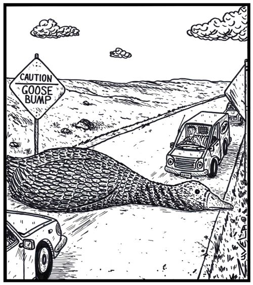 Visual Gag: Caution Goose Bump