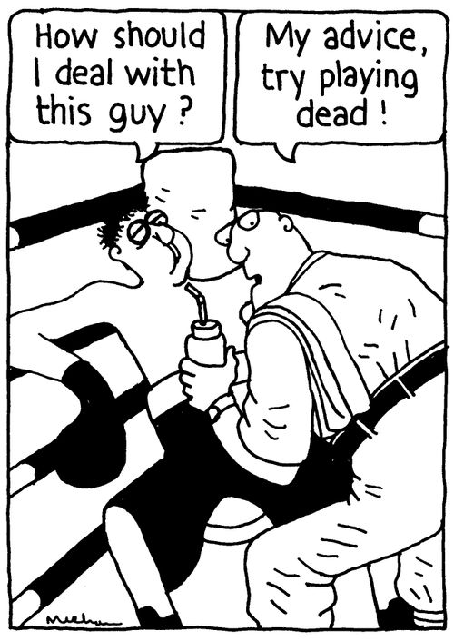 'How should I deal with this guy?' 'My advice, try playing dead!'