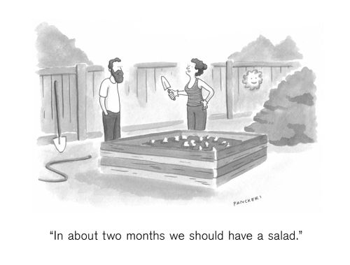 "In about two months we should have a salad."