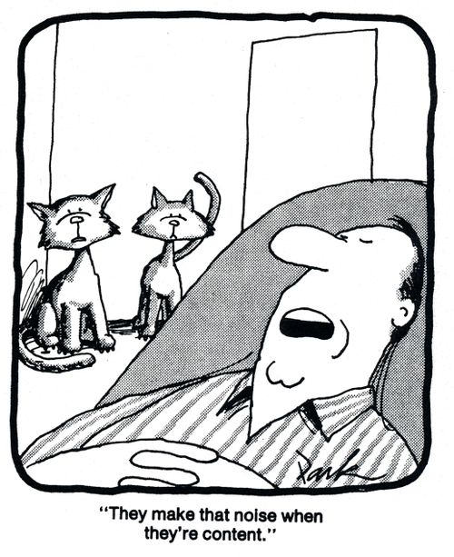 'They make that noise when they're content.'