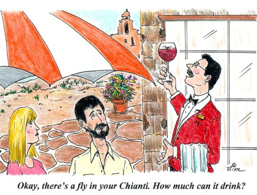 'Okay, there's a fly in your Chianti. How much can it drink?'