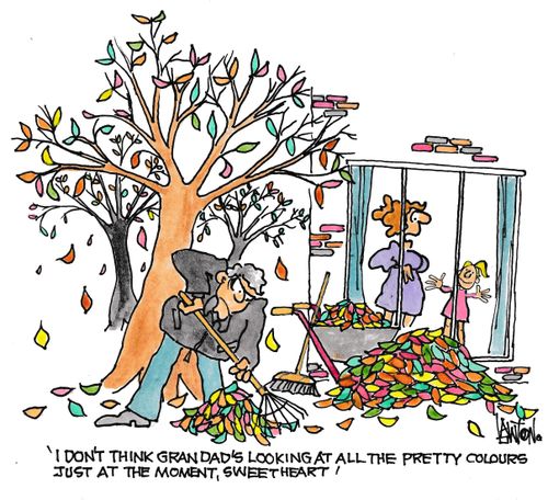 'I don't think Grandad's looking at all the pretty colours just at the moment, sweetheart.'