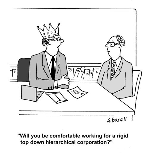 'Will you be comfortable working for a rigid top down hierarchical corporation?'