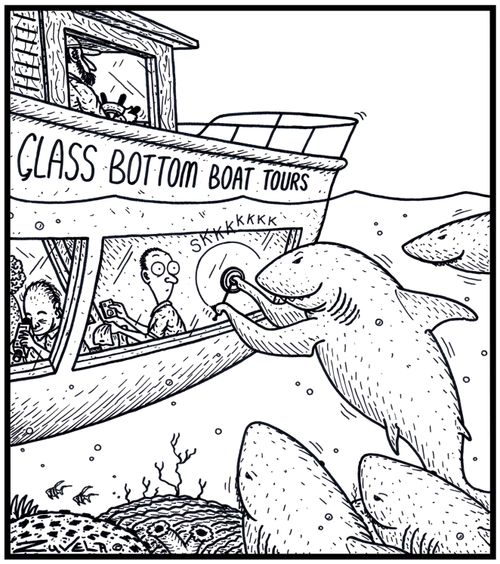 Glass Bottom Boat Tours 
