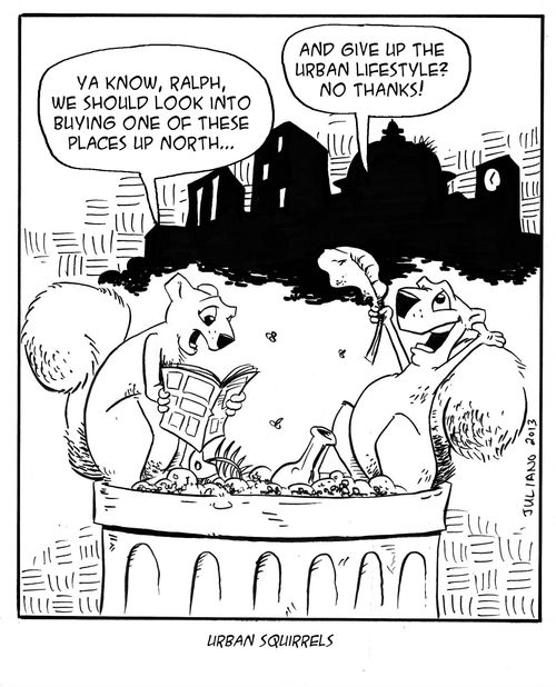 Urban Squirrels