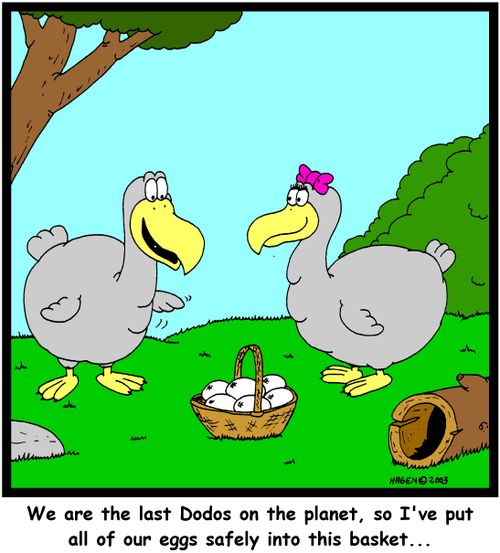 'We are the last Dodos on the planet, so I've put all of our eggs safely into this basket...'