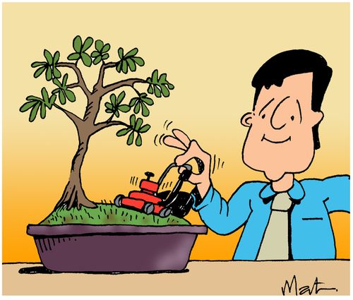 Bonsai lawnmower.