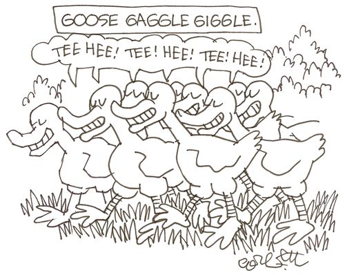 Goose gaggle giggle: 'Tee hee! Tee Hee!...'