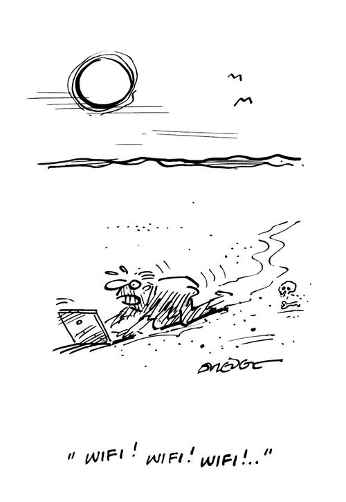 'Wifi! Wifi! Wifi!. . .'