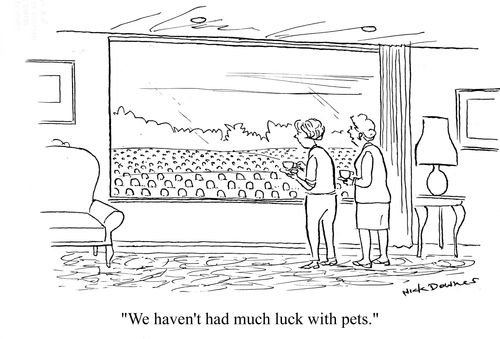 'We haven't had much luck with pets.'