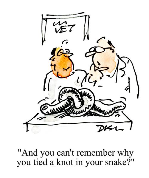 'And you can't remember why you tied a knot in your snake?'