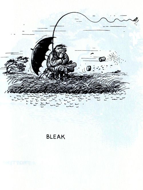 Bleak