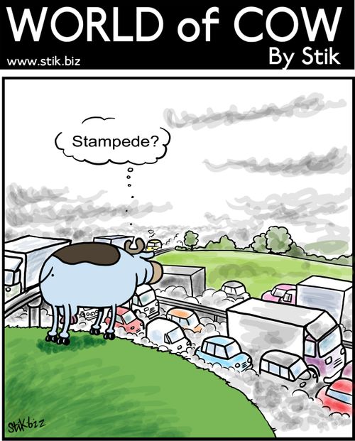Stampede?