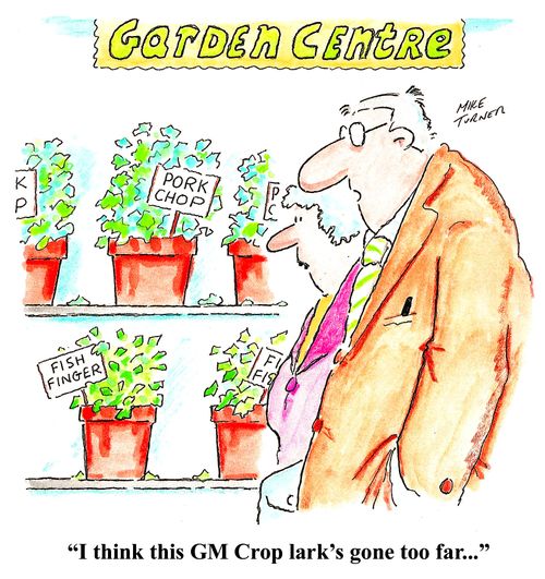 GM Crop lark