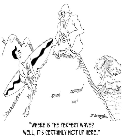 'Where is the perfect wave? Well, it's certainly not up here.'