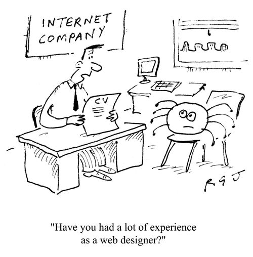 'Have you had a lot of experience as a web designer?'