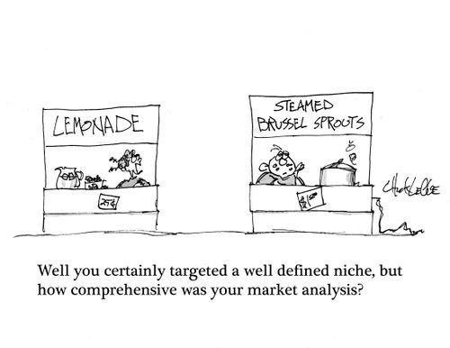 "Well you certainly targeted a well defined niche, but how comprehensive was your market analysis?"