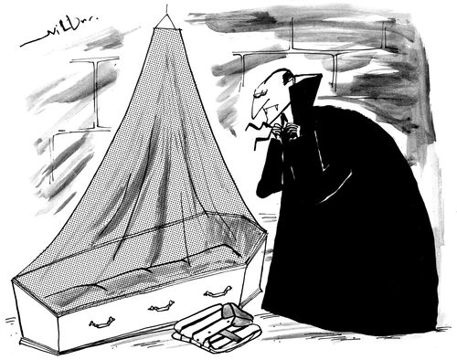 Dracula's bedtime.