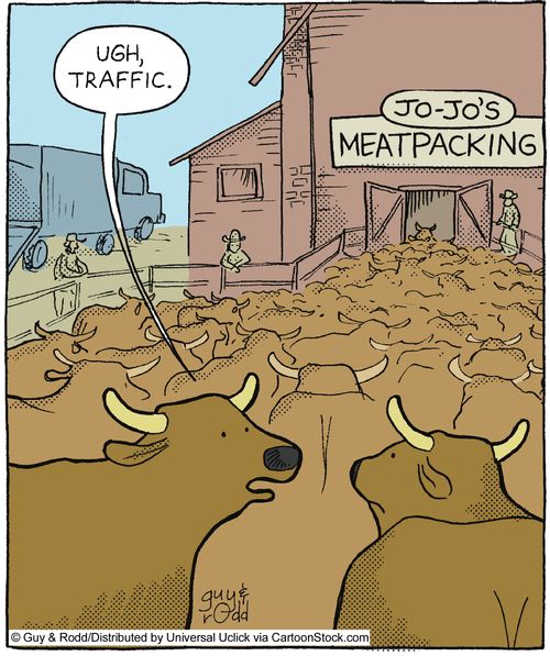 'Ugh, traffic.'