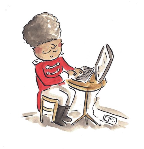 Nutcracker on laptop