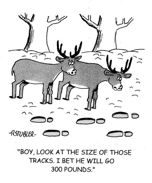 'Boy, look at the size of those tracks. I bet he will go 300 pounds.'