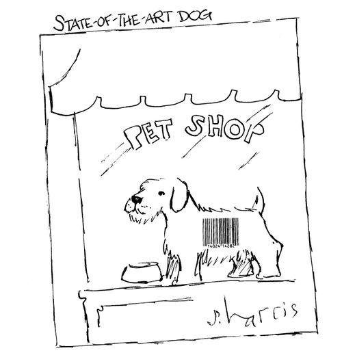 State of the Art Dog.