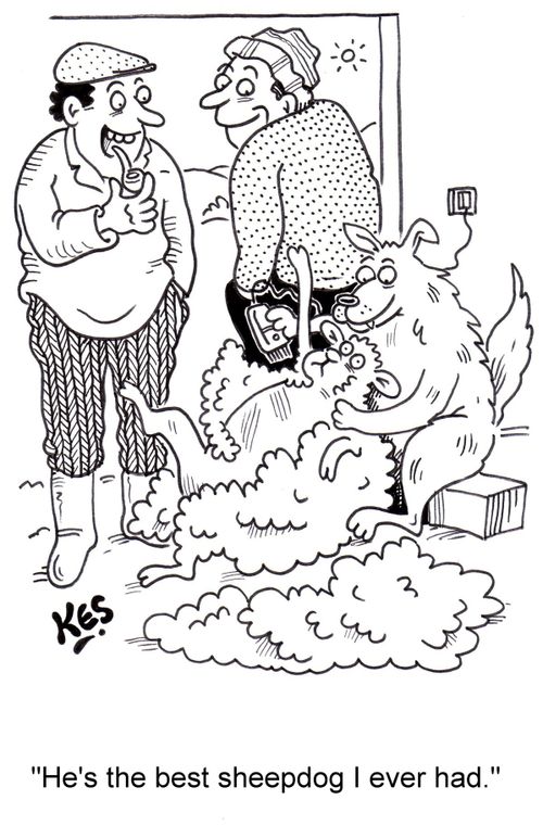 'He's the best sheepdog I ever had.'