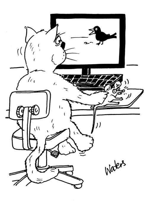 Cat at computer with live mouse.