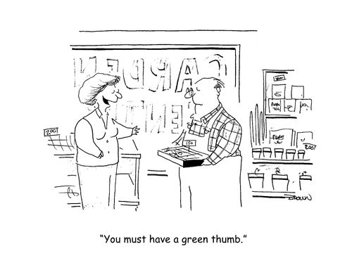 "You must have a green thumb."