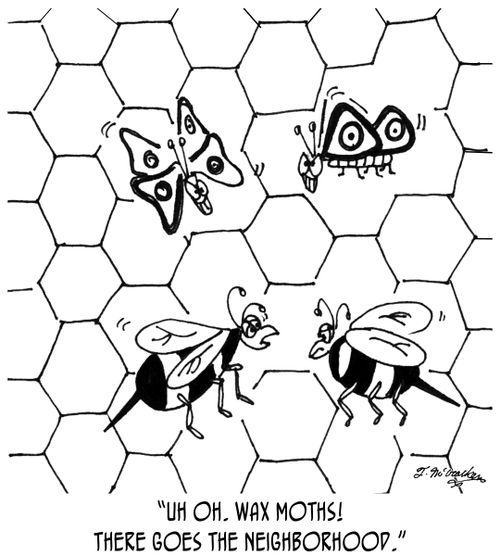 'Uh oh. Wax moths! There goes the neighborhood.'