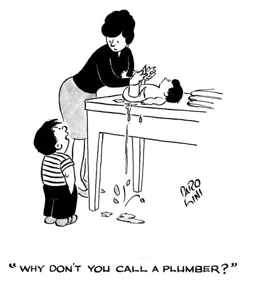 'Why don't you call a plumber?'