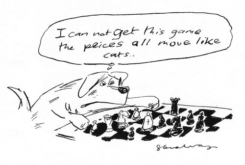 'I can not get this game, the pieces all move like cats.'