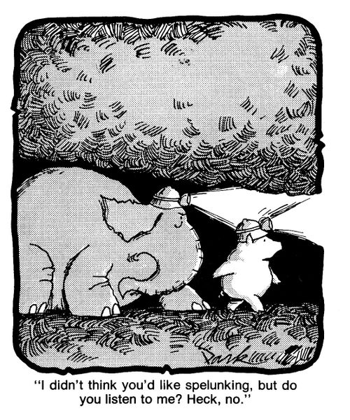 'I didn't think you'd like spelunking, but do you listen to me? Heck, no.'