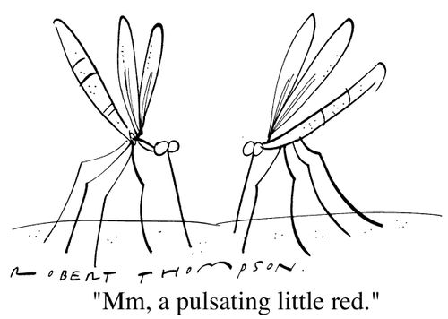 "Mmmmm, a pulsating little red"