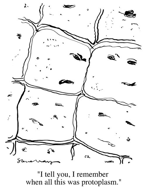 "I tell you, I remember when all this was protoplasm"