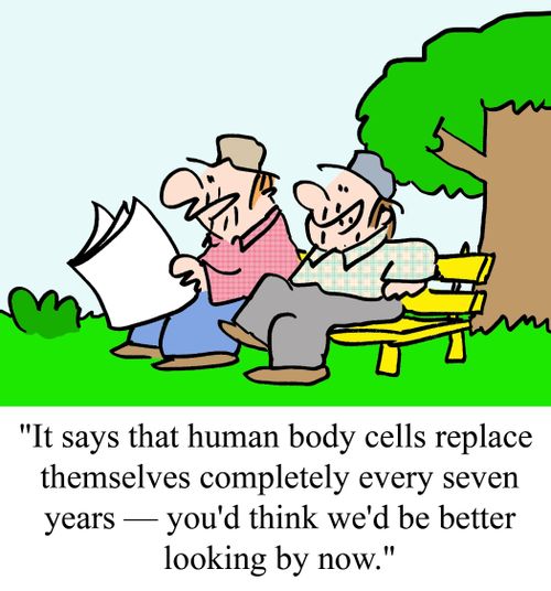 "It says that human body cells replace themselves completely every seven years -- you'd think we'd be better-looking by now."