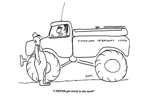 'I NEVER get stuck in the mud!'