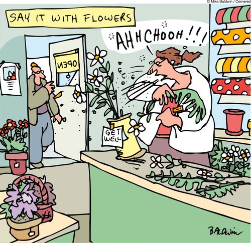 Say it with Flowers: Get well.