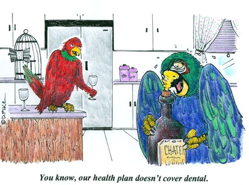 'You know, our health plan doesn't cover dental.'